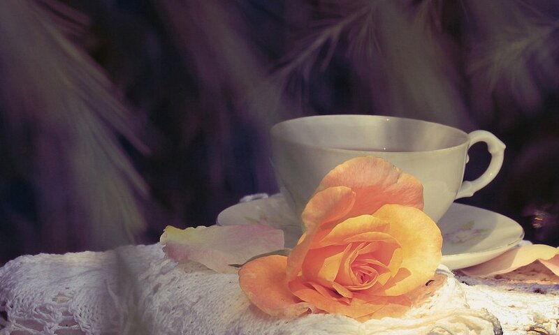Orange Rose and Teacup