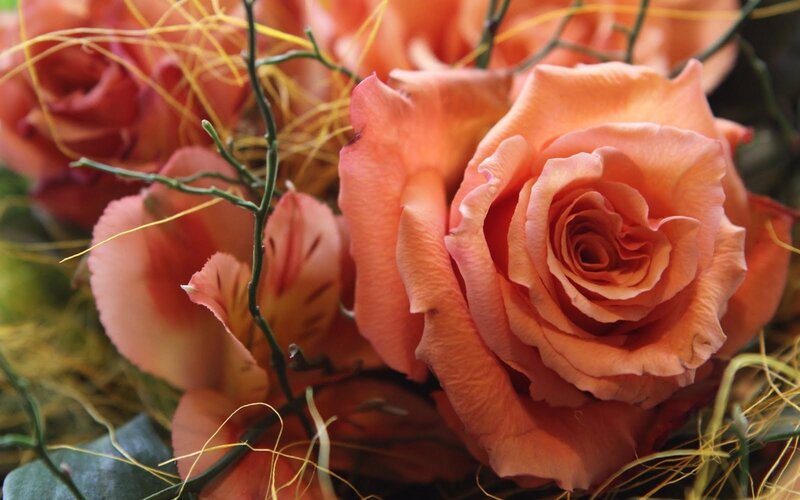 Orange Rose Bouquet — Calm