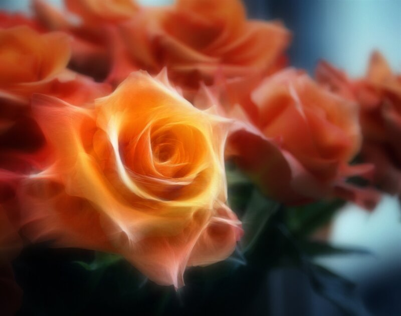 Orange Rose Bouquet — Serene
