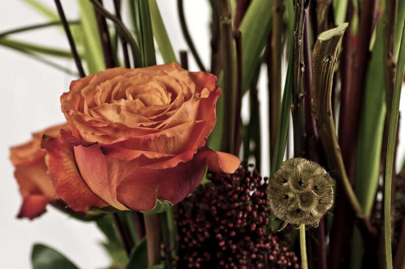Orange Rose in Bouquet — Calm