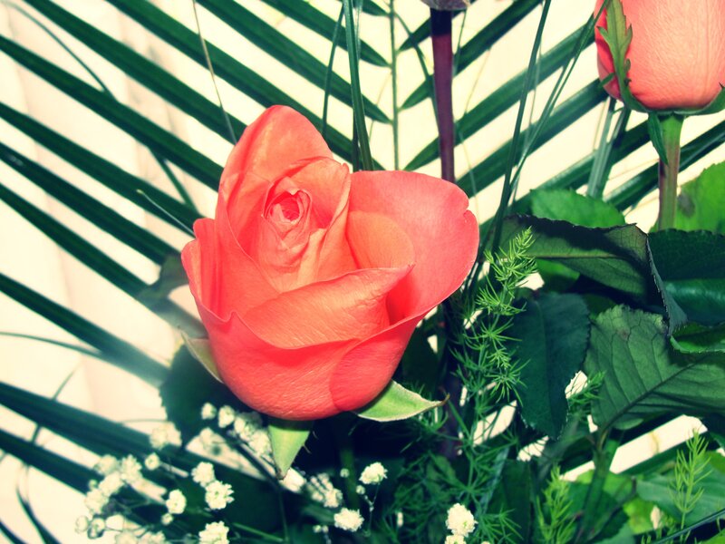Orange Rose in Bouquet