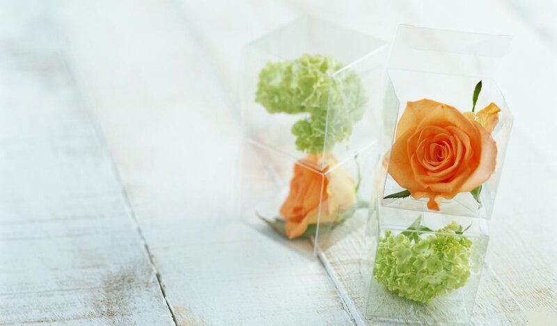 Orange Rose in Box