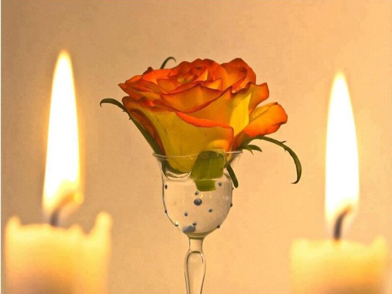Orange Rose in Glass