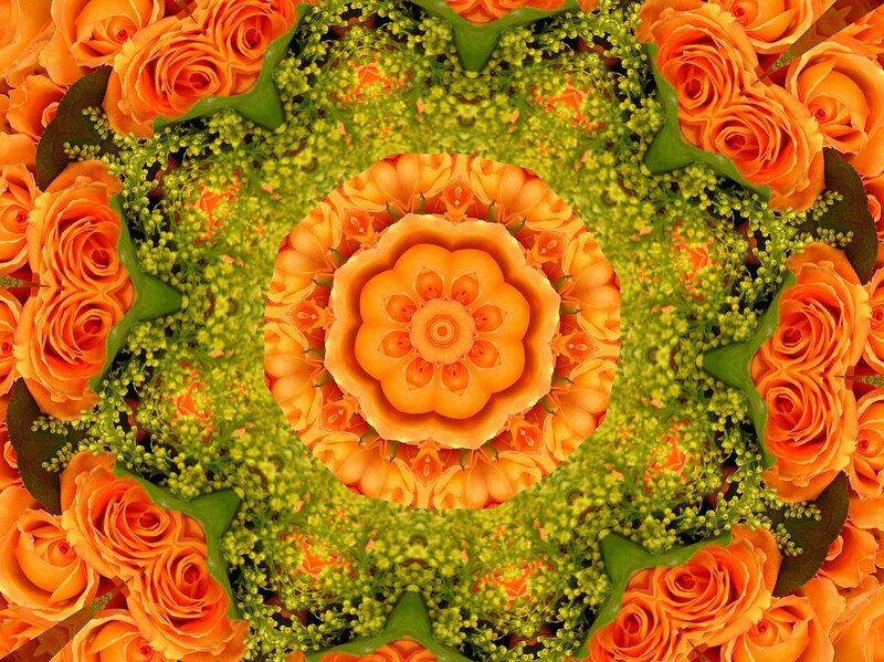 orange rose mandala