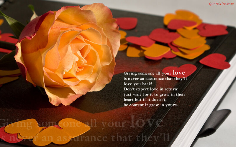 Orange Rose on Book — Romantic