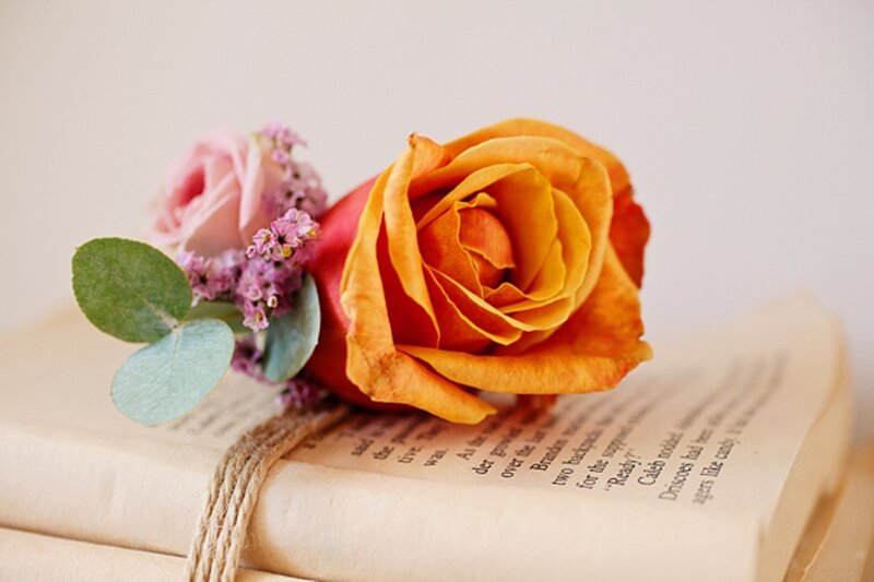 Orange Rose on Book — Serene, Photograph, Flowers