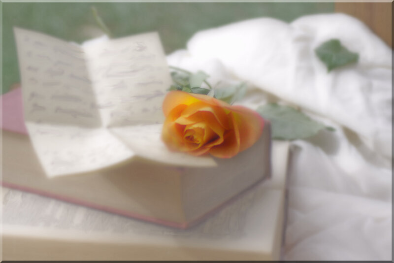 Orange Rose on Book — White