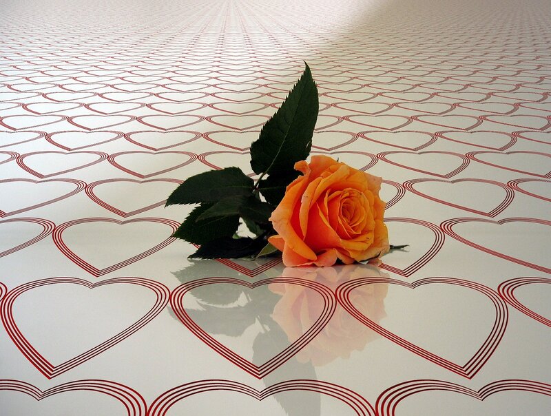 Orange Rose on Heart Pattern