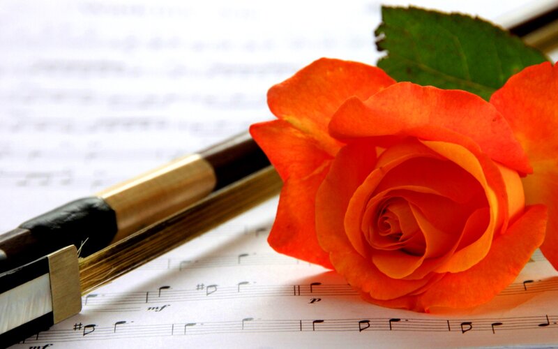 Orange Rose on Sheet Music