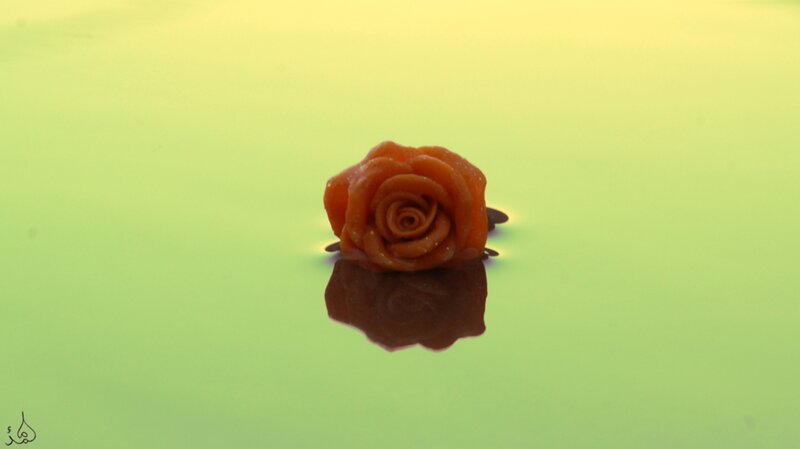 Orange Rose on Surface — Green