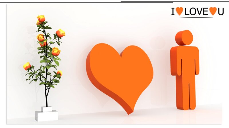 Orange Rose Plant