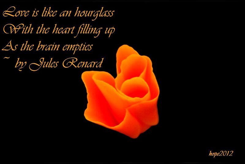 Orange Rose