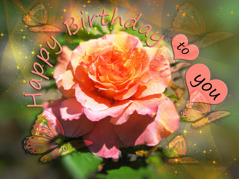 Orange Rose with Butterflies — Pink