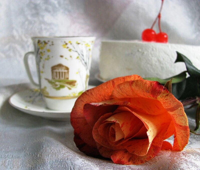Orange Rose with Cup and Cake