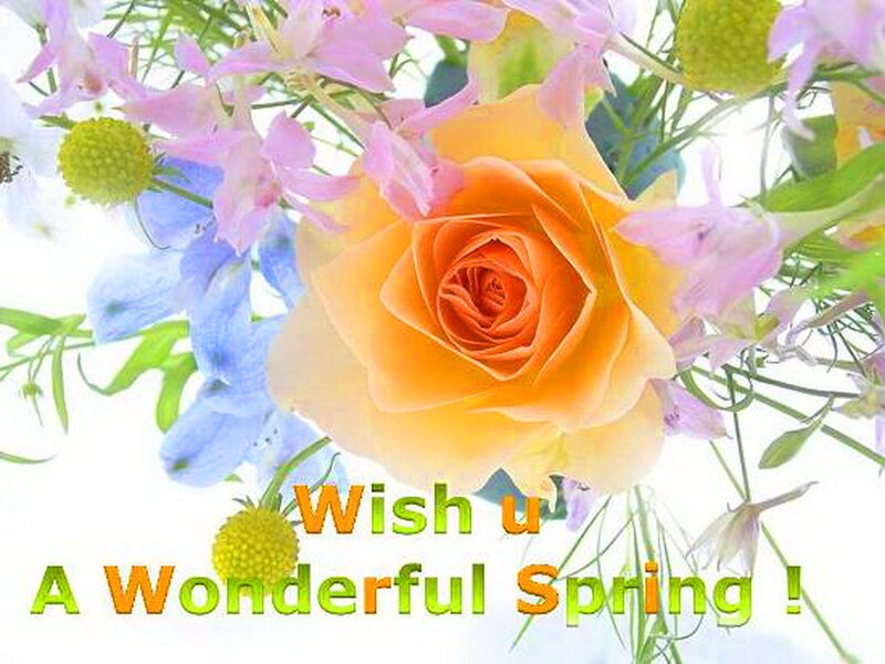 Orange Rose with Flowers