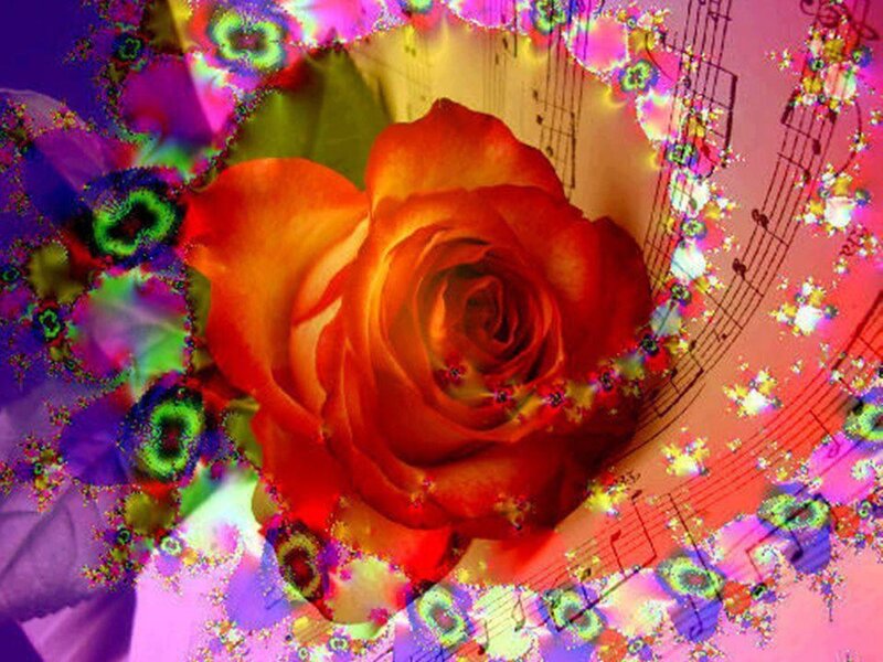 Orange Rose with Music Notes