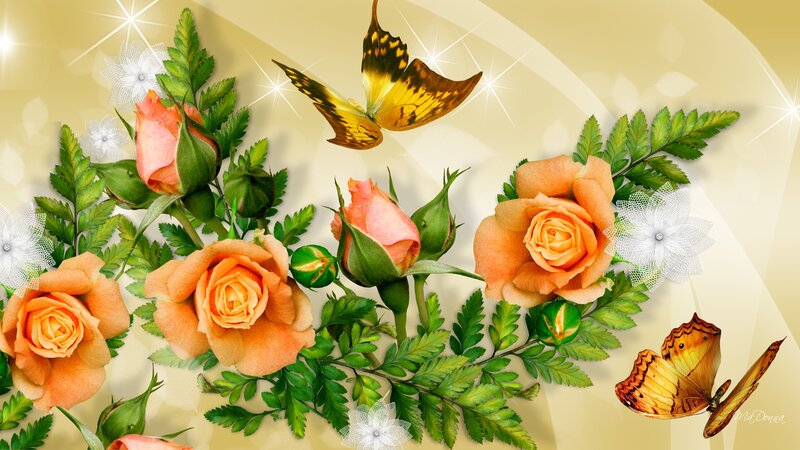 Orange Roses and Butterflies