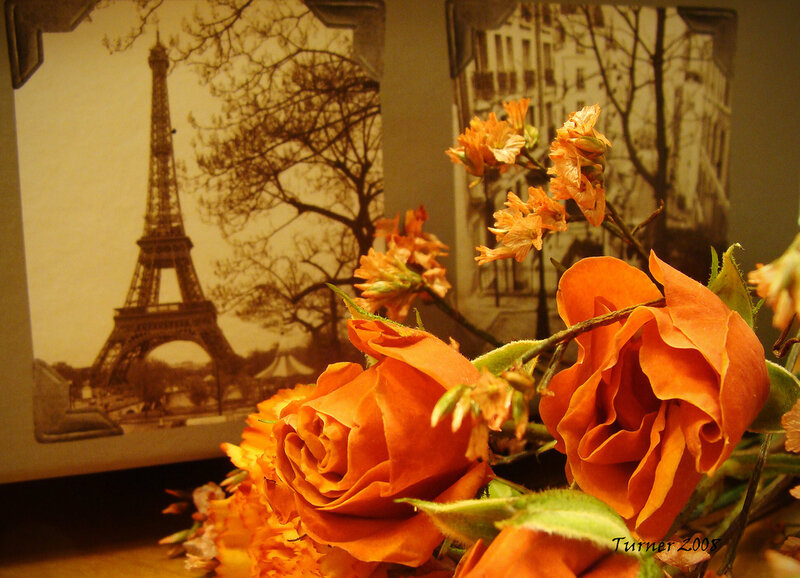 Orange Roses and Eiffel Tower