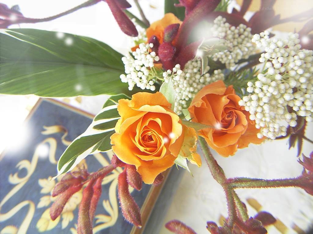 orange roses and flowers