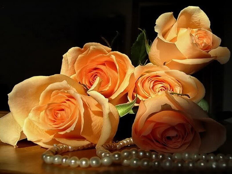 orange roses and pearls