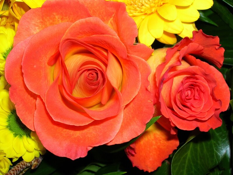 Orange Roses and Yellow Flowers