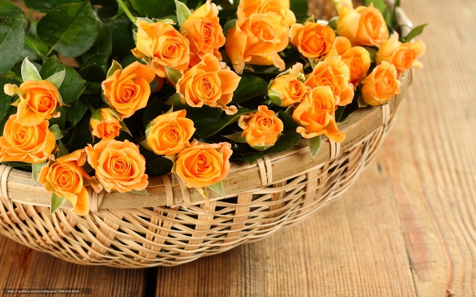 Orange roses in a basket