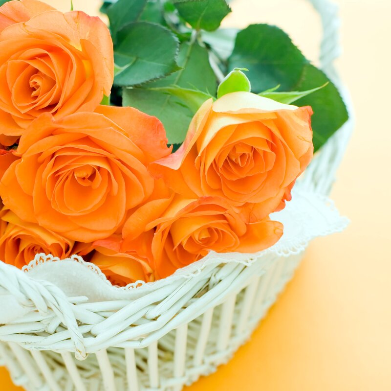 Orange Roses in Basket — Calm, Photograph, Leaves, Lace