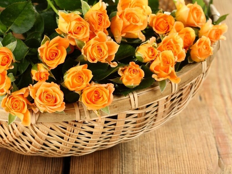Orange Roses in Basket — Calm, Photograph, Wooden Surface