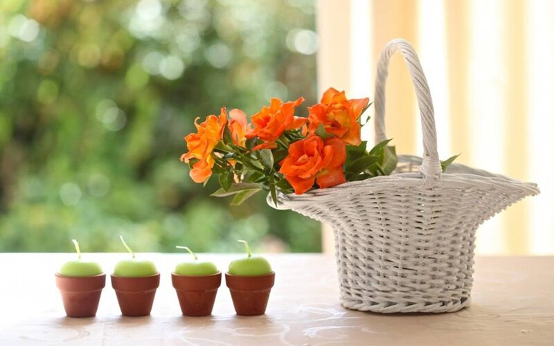 Orange Roses in Basket — White