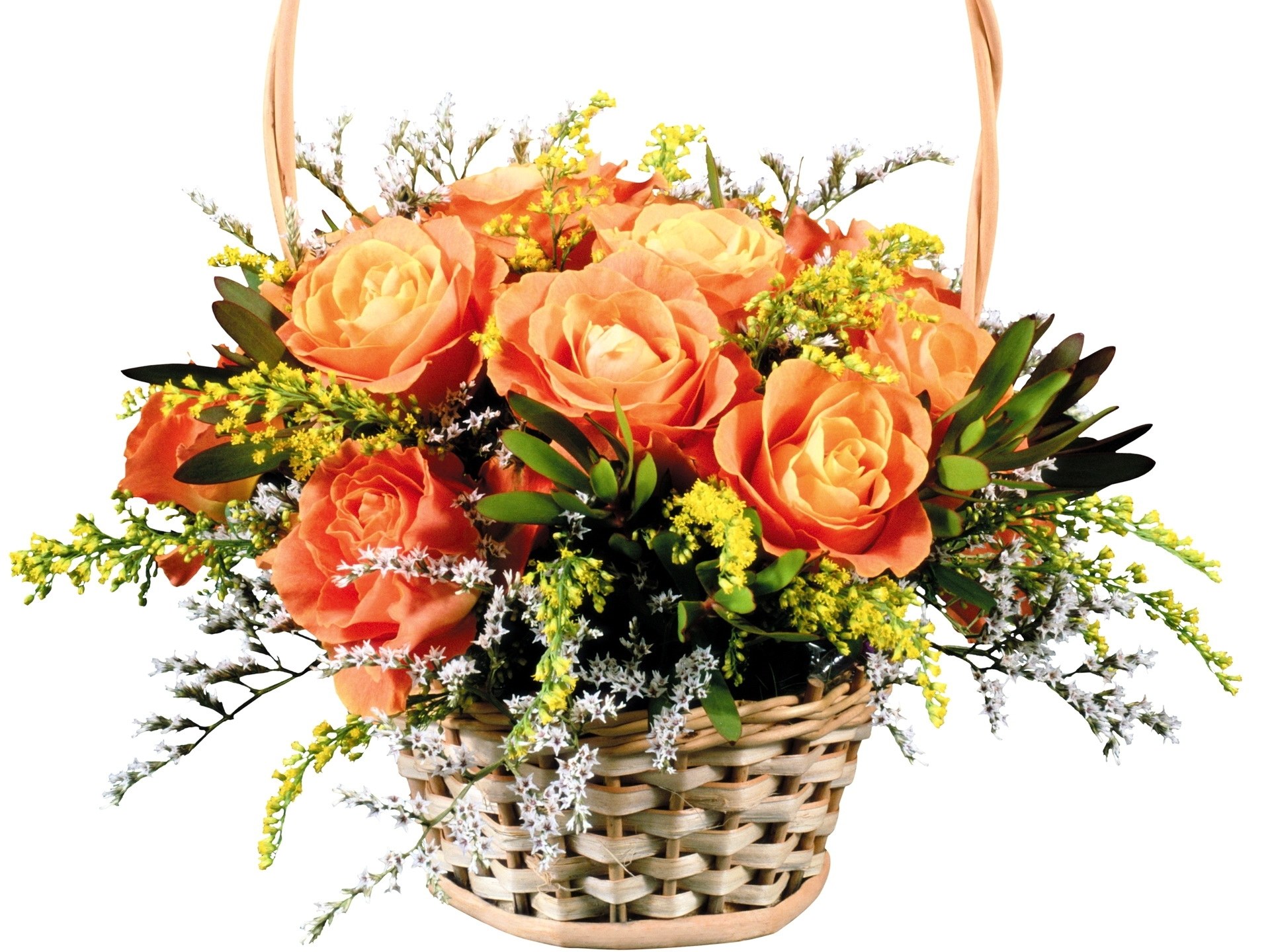 orange roses in basket