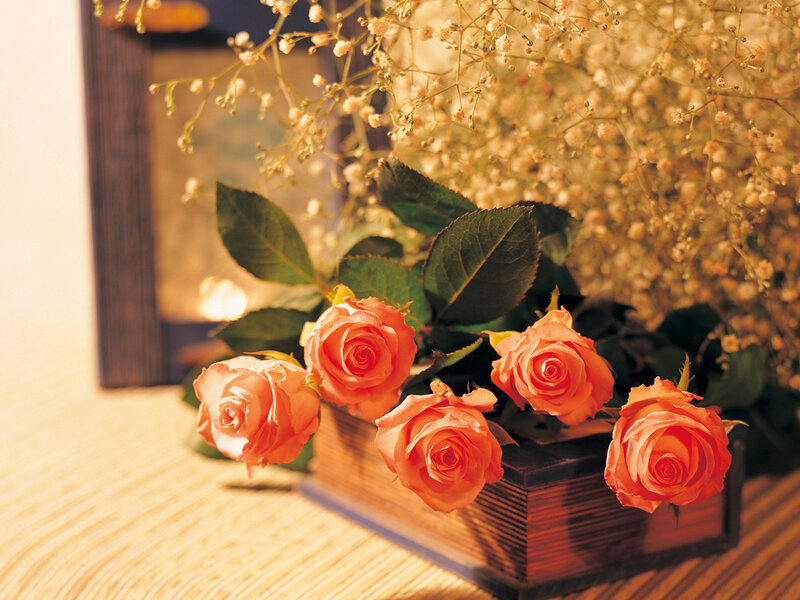 Orange Roses in Book
