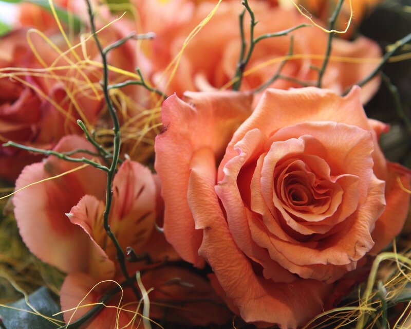 Orange Roses in Bouquet — Calm, Photograph, Flowers
