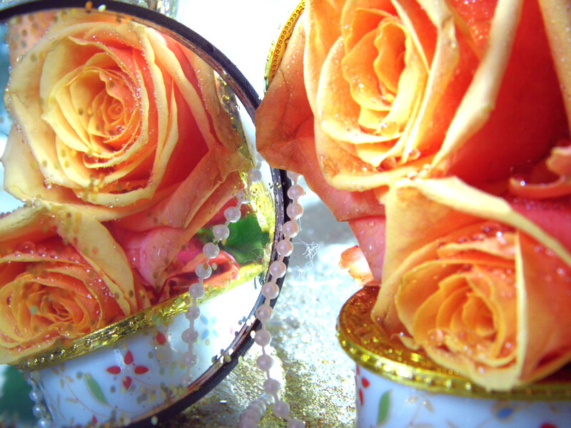 Orange Roses in Cups
