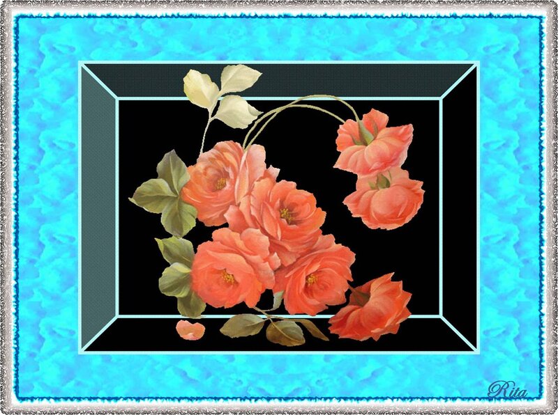 Orange Roses in Frame