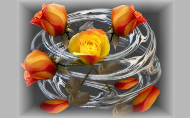 Orange Roses in Glass
