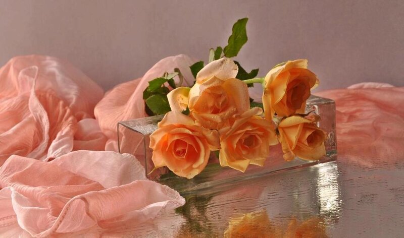 Orange Roses in Glass Vase — Pink