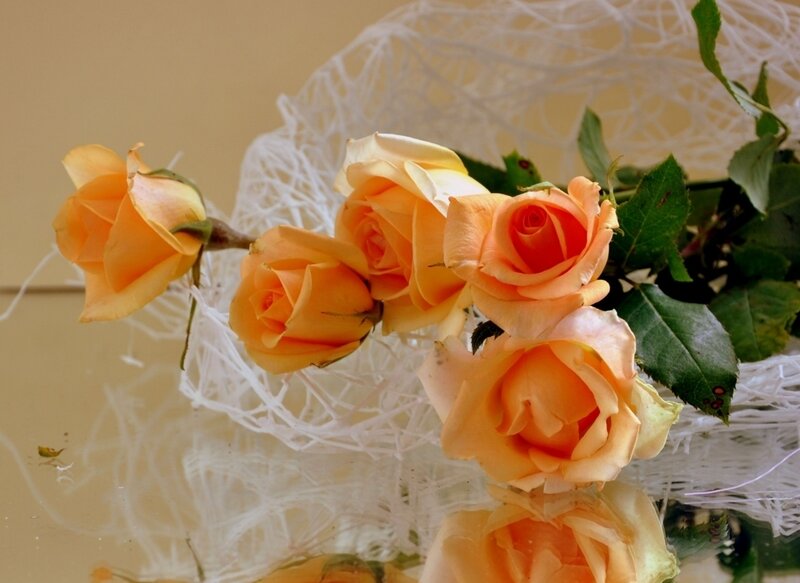 Orange Roses in Lace