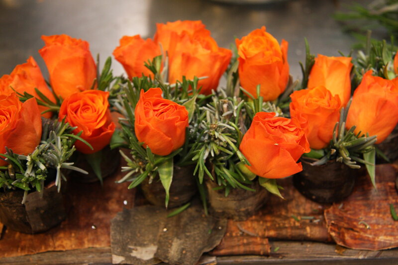 Orange Roses in Pots