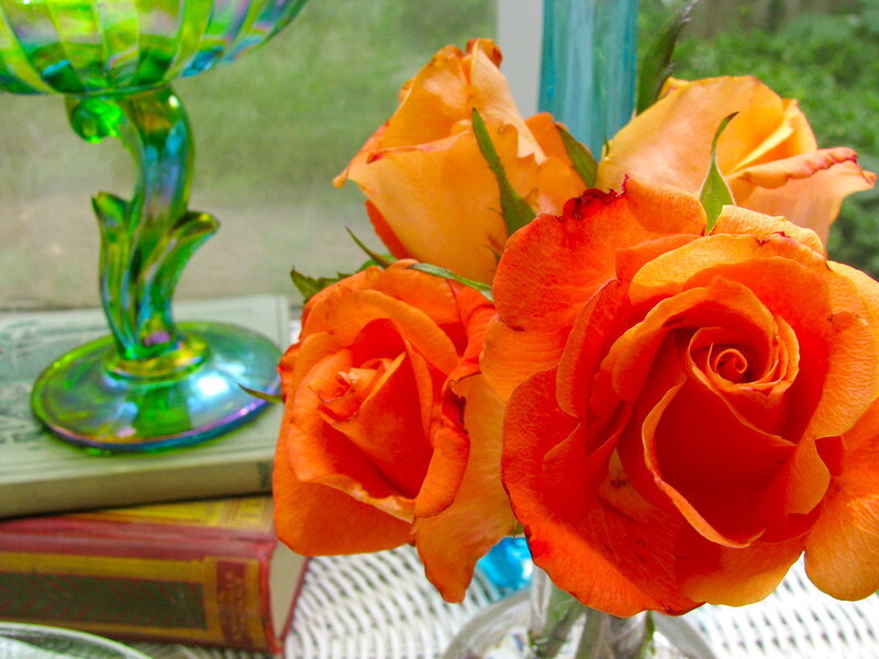 Orange Roses in Vase — Calm, Afternoon