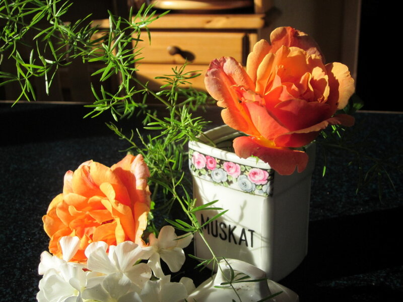 Orange Roses in Vase — Serene, Afternoon