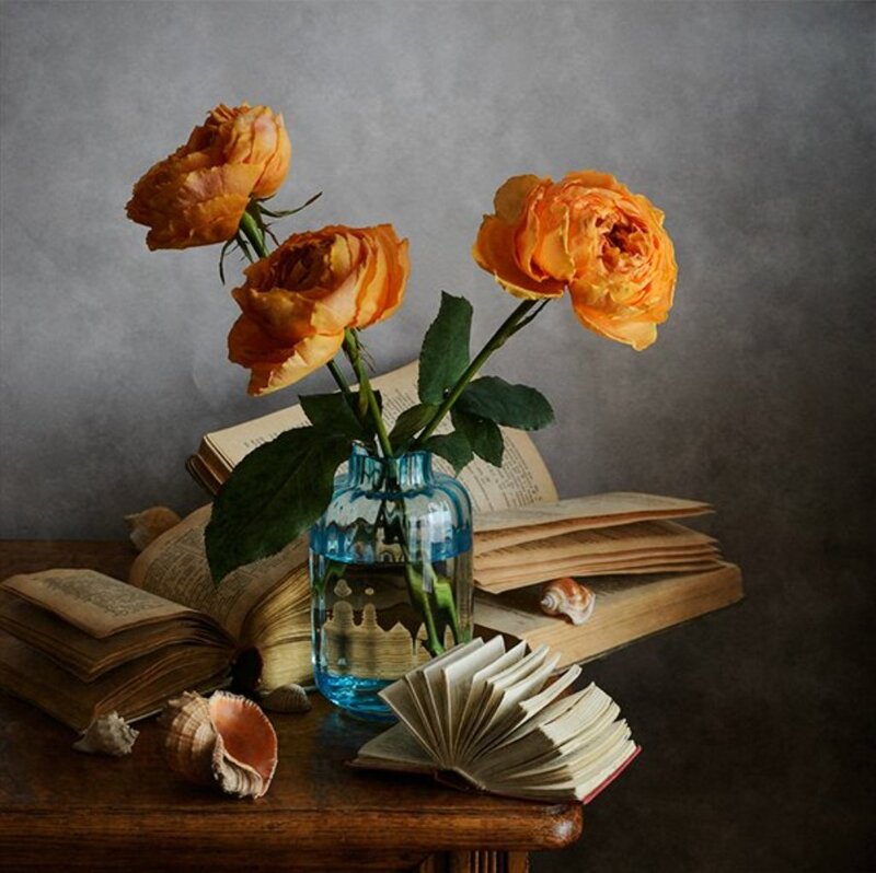 Orange Roses in Vase — Serene, Photograph, Books, Shells