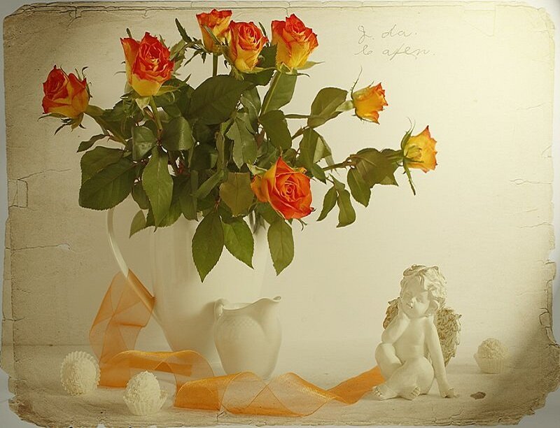 Orange Roses in Vase — Serene, Photograph