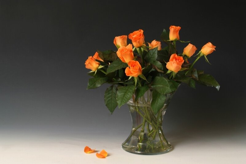 Orange Roses in Vase — Serene