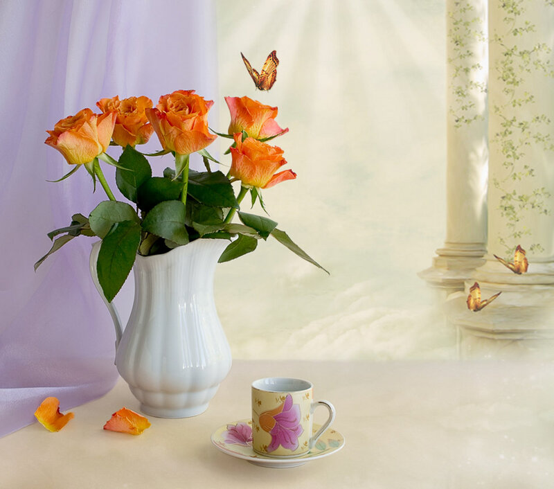 Orange Roses in Vase — White