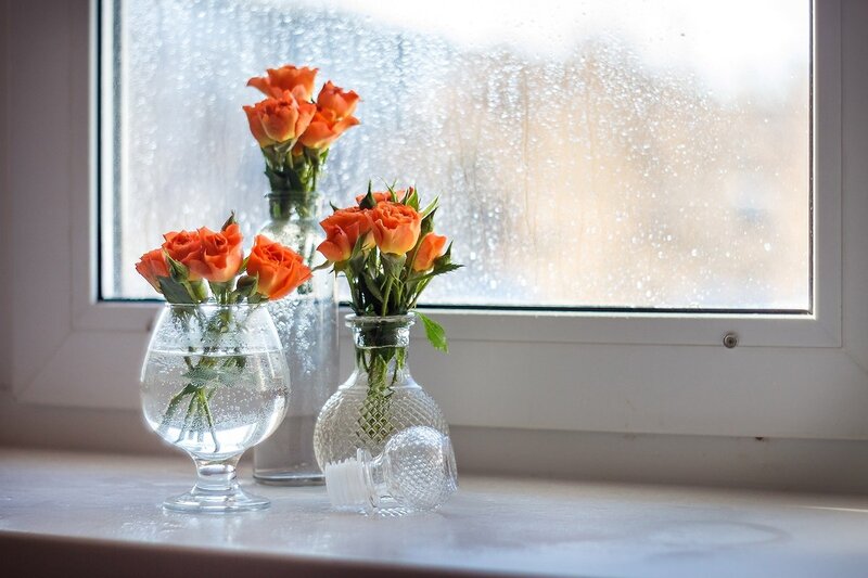 Orange Roses in Vases — Calm