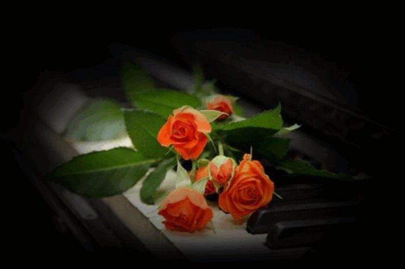Orange Roses on Piano — Dramatic