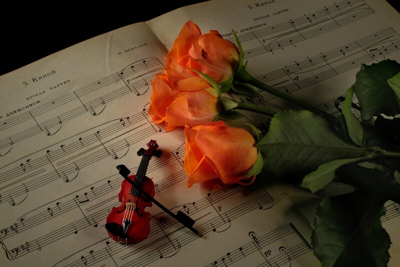 Orange Roses on Sheet Music — Dramatic
