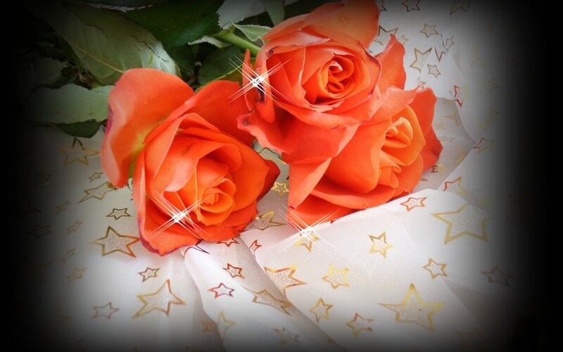 orange roses on starry fabric