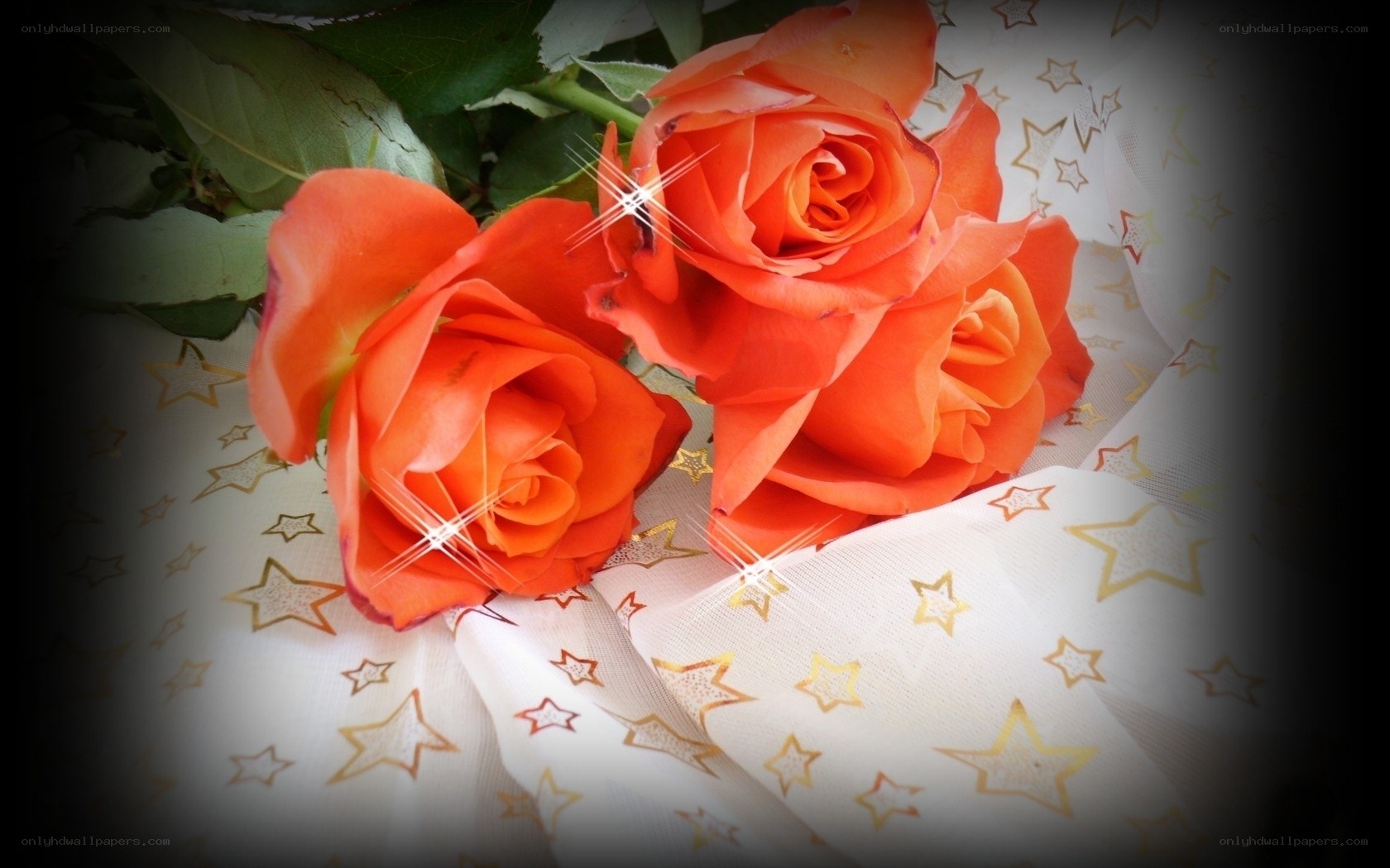 orange roses on starry fabric
