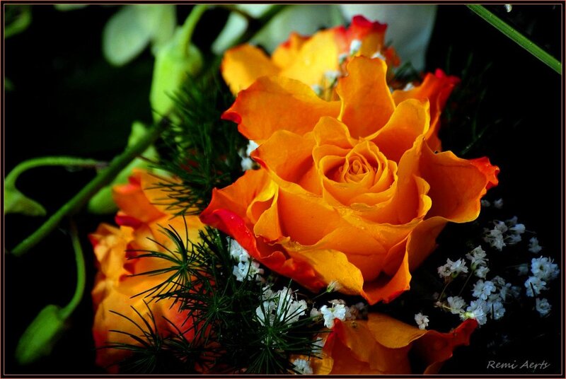 Orange Roses with Filler